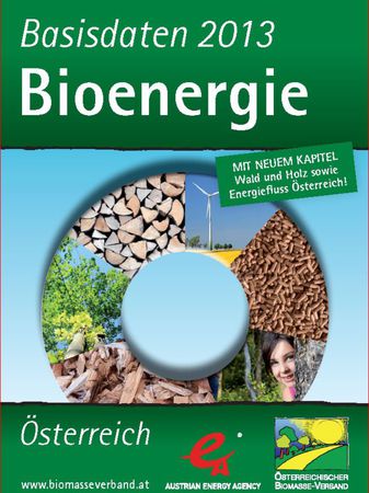 Basisdaten Bioenergie Österreich 2013 - mit neuen Kapiteln "Wald und Holz" sowie "Energiefluss Österreich"