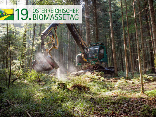 19. Biomassetag und Heizwerkebetreibertag - ein gut besuchter Branchentreff
