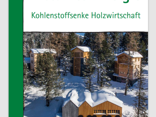 Bioenergie aus heimischen Wäldern – Klimaretter oder sogar Klimakiller?<br />Neue Broschüre des Österreichischen Biomasse-Verbandes „Wald.Holz.Energie“ liefert Fachbeiträge dazu.