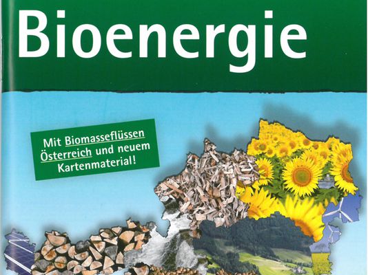 Zahlen und Fakten in der Broschüre "Basisdaten Bioenergie 2015" 