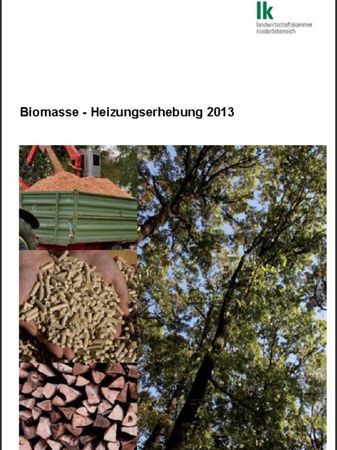 Biomasseheizungen erfreuen sich steigender Beliebtheit