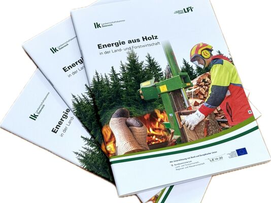 Neue Broschüre "Energie aus Holz" erhältlich<br />alles über Brennstoff Holz und Holzheizungen
