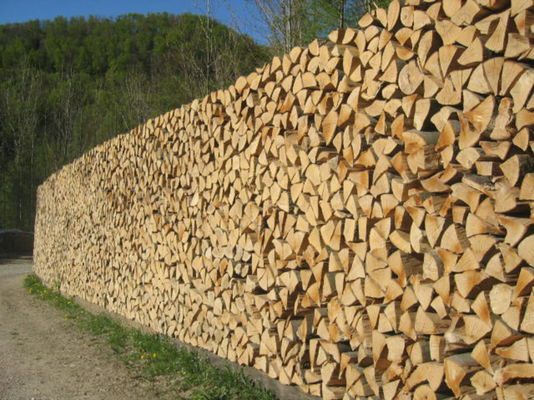 Papierindustrie gegen Biomassenutzung