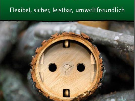 NEU! Falter "Holz-Strom" des Österreichischen Biomasse-Verbands