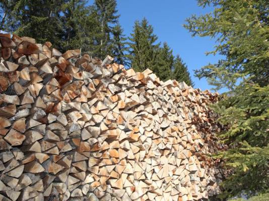 Studie: Holz bleibt trotz deutlich gesunkener Ölpreise günstigster Brennstoff