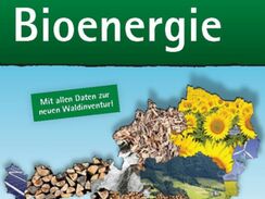 Broschüre "Basisdaten Bioenergie Österreich 2019" erschienen!